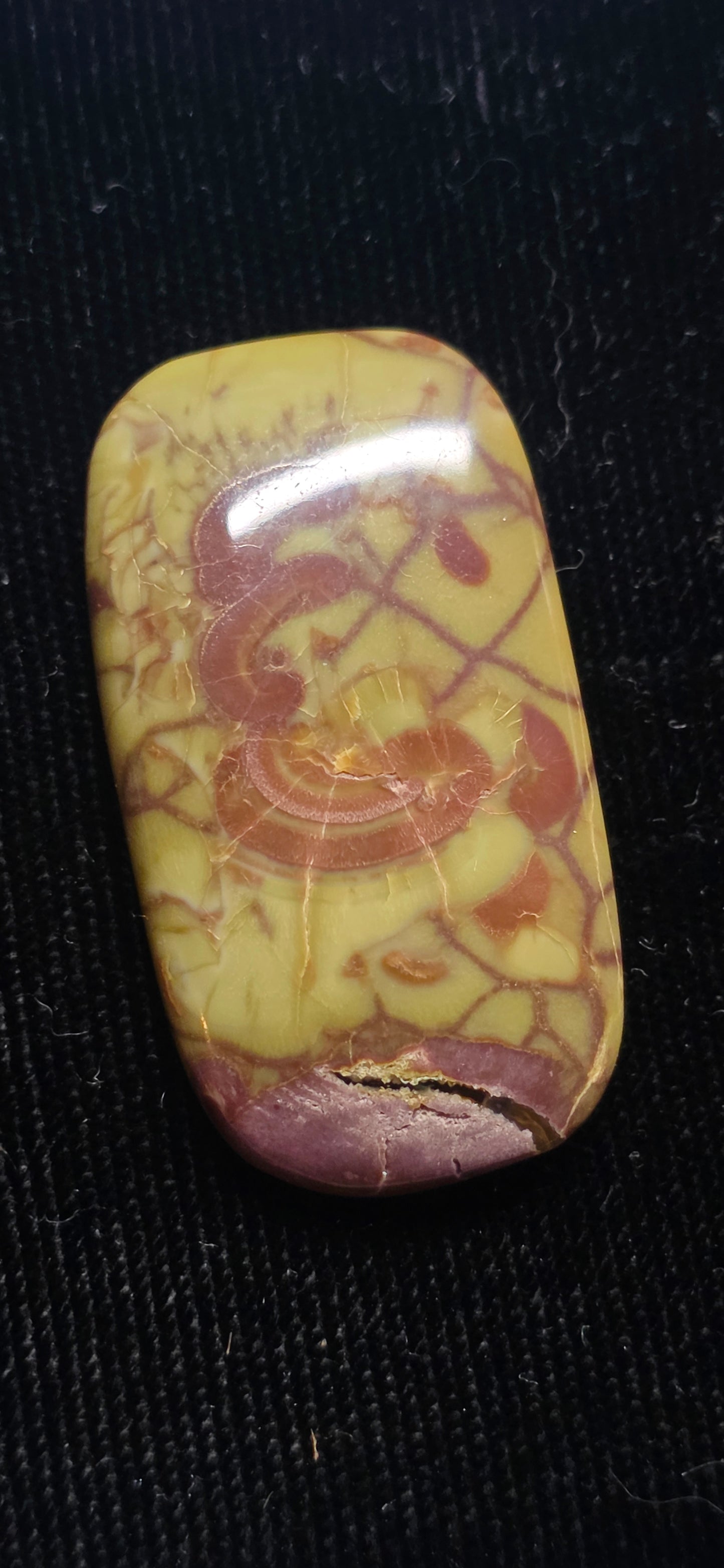 Idaho Spider Web Jasper