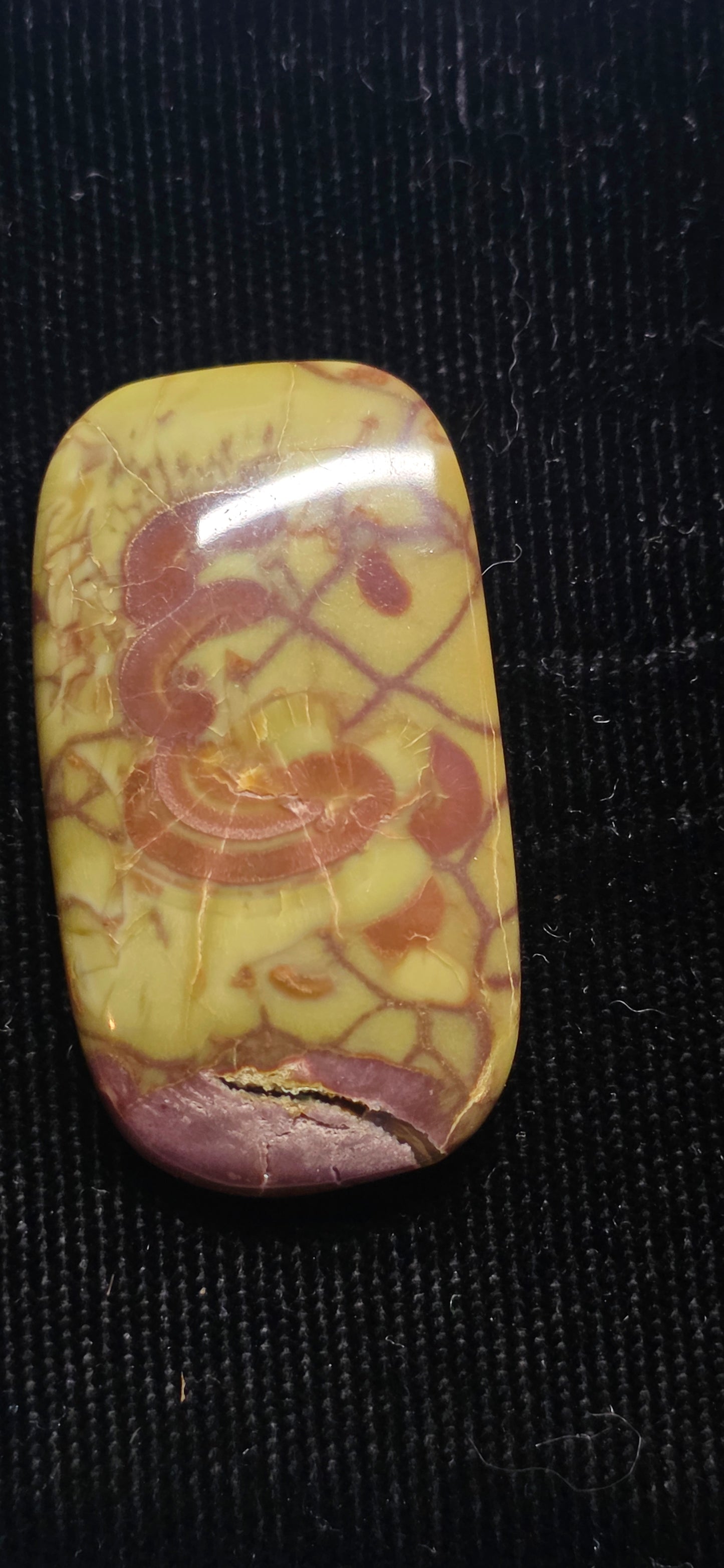 Idaho Spider Web Jasper