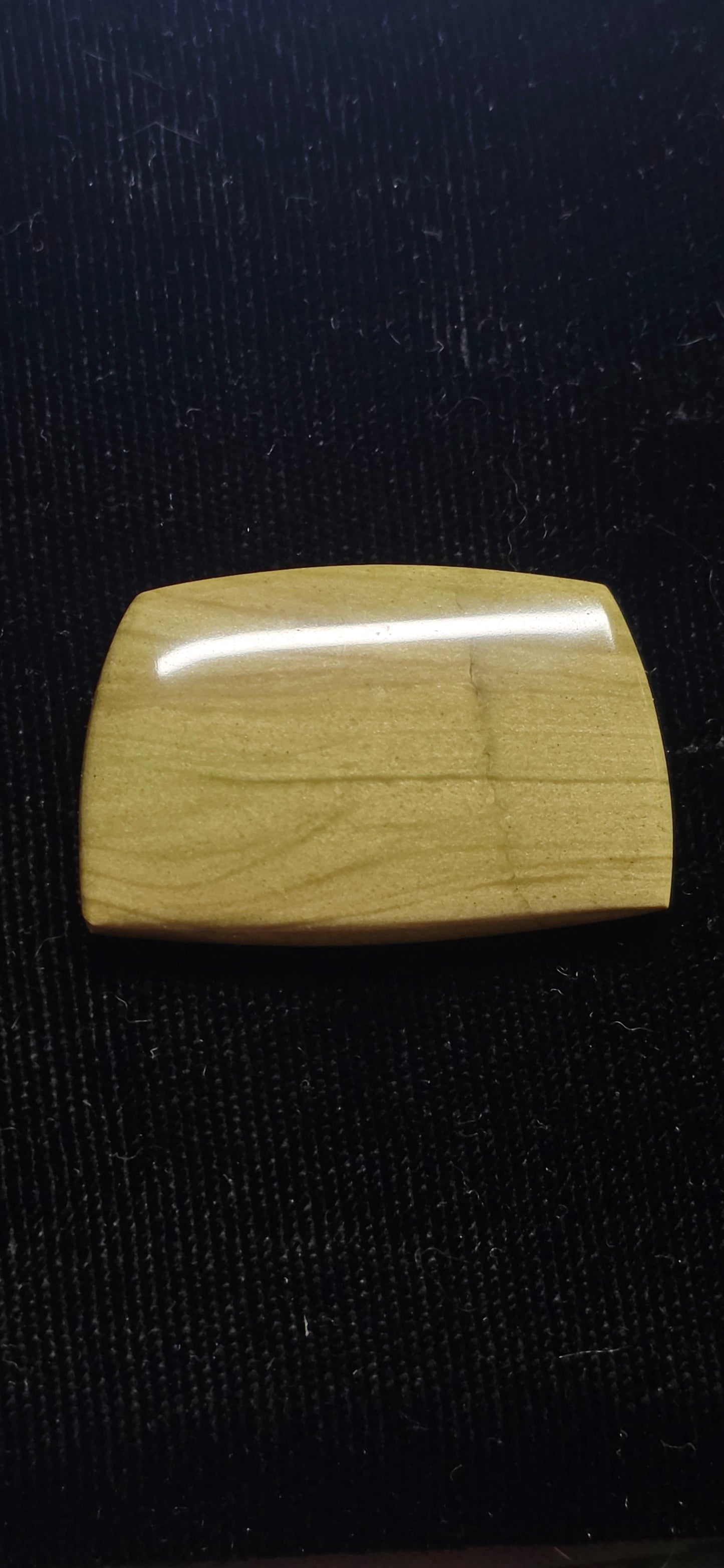 Mystery Petrified Wood Cabochon