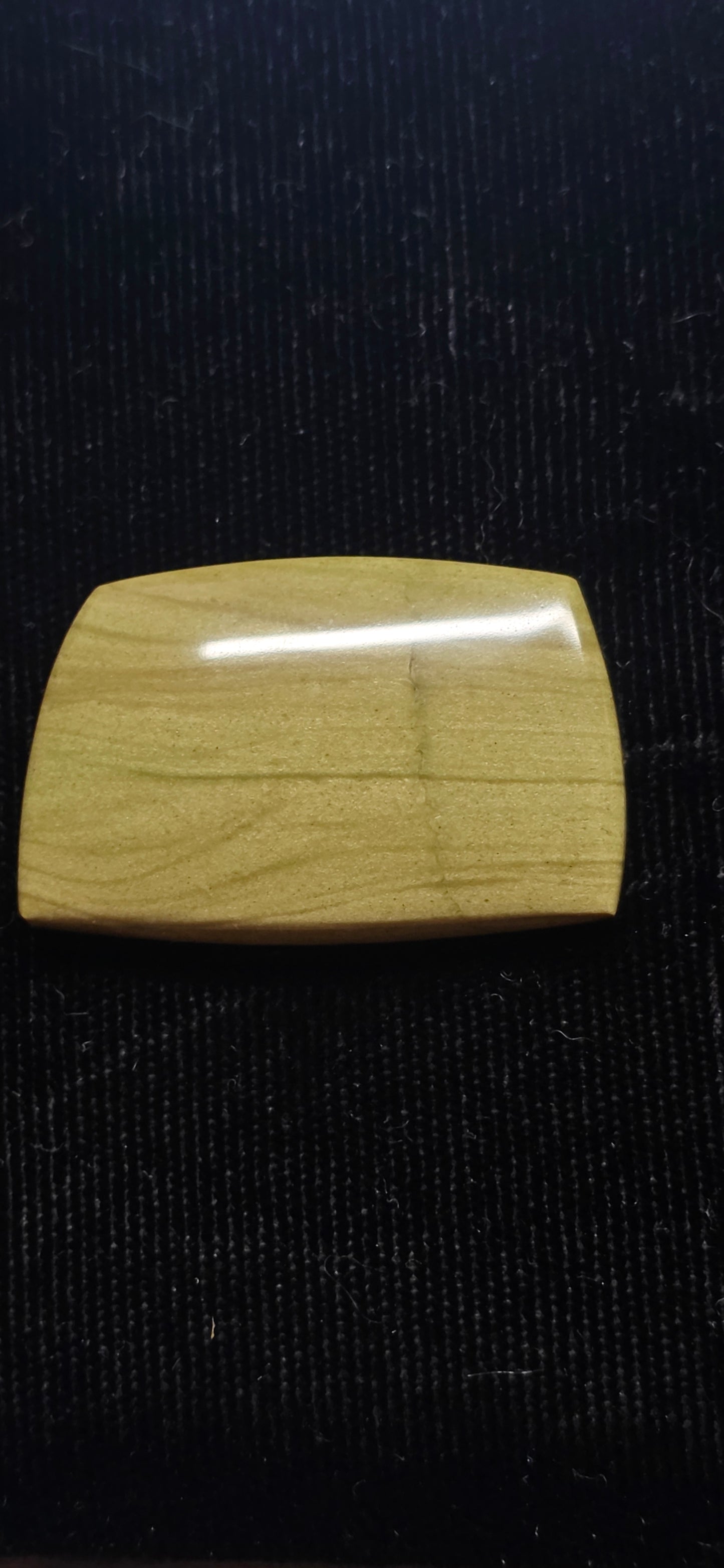 Mystery Petrified Wood Cabochon