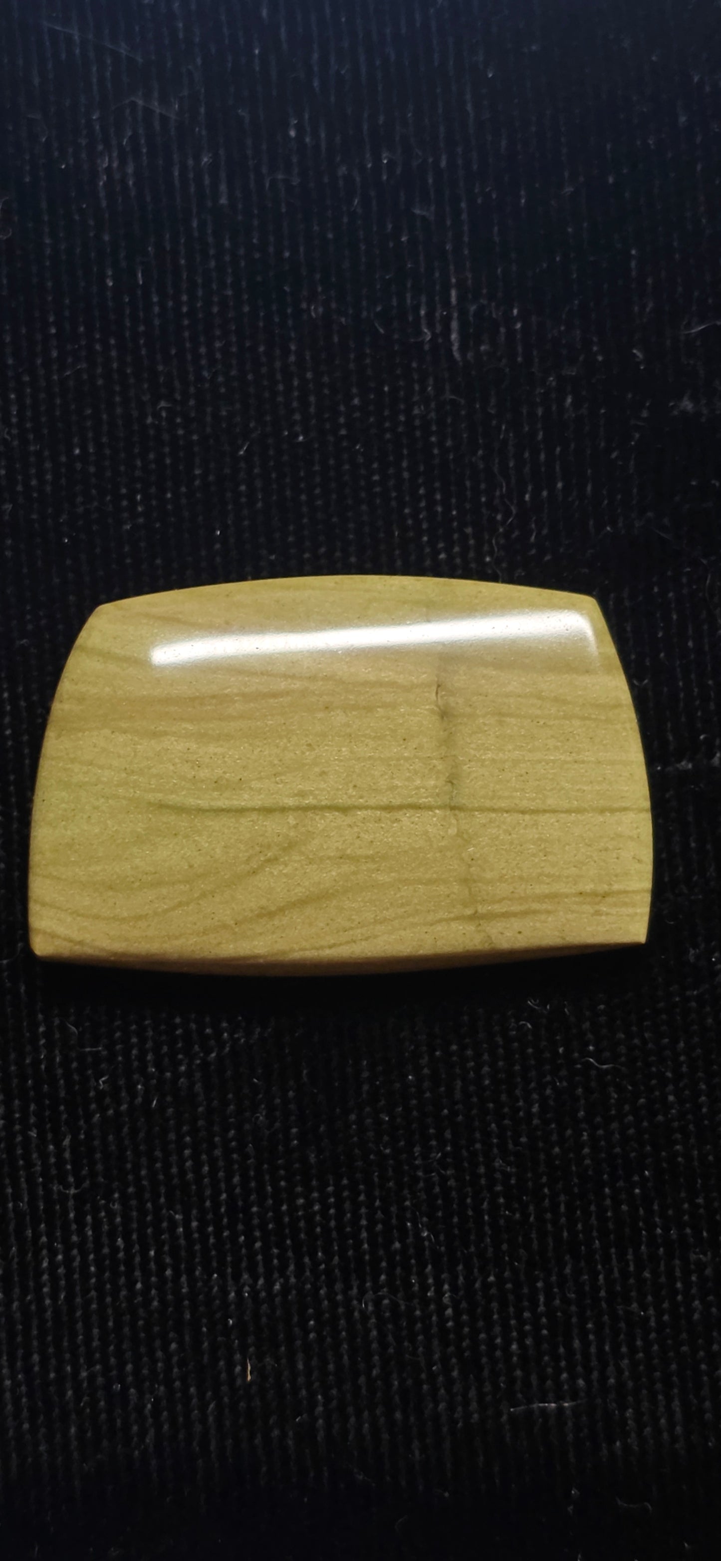 Mystery Petrified Wood Cabochon